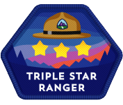 Salesforce Triple Star Ranger
